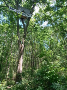 A tree sit in the Weelaunee Forest in South Atlanta