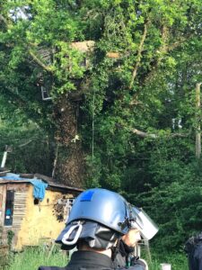French riot police stand below a cabin in the trees on the ZAD at Notre-Dame-des-Landes